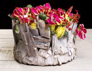 bloemen en planten vvbvanbree     1064